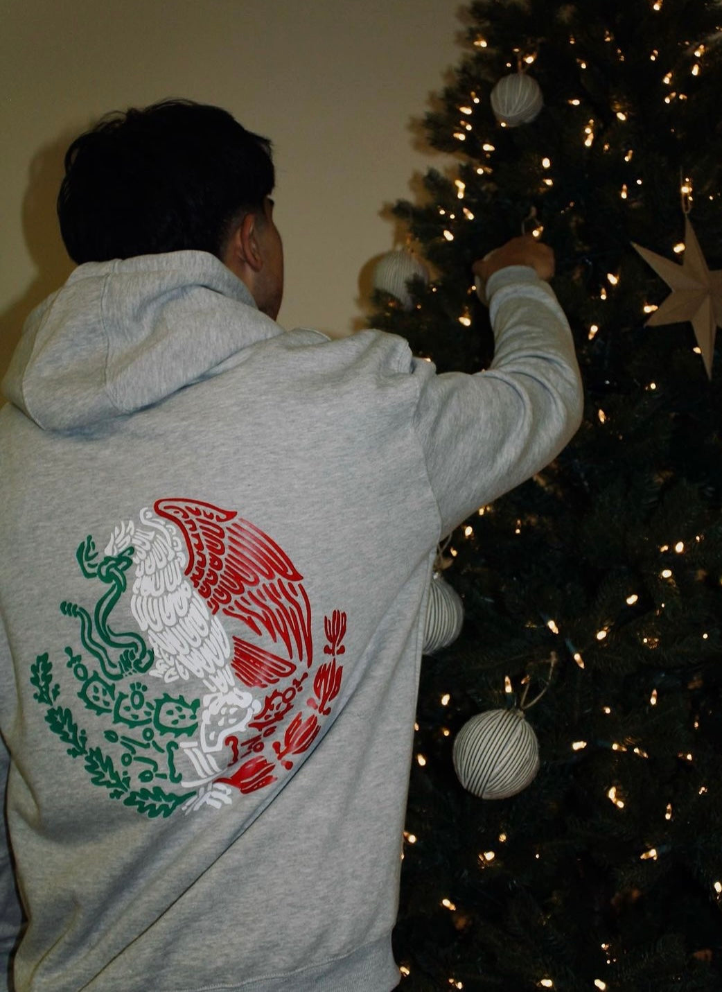 100% Mexican hoodie